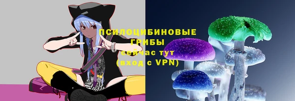 первитин Алексеевка