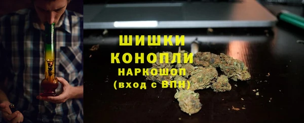 винт Арсеньев