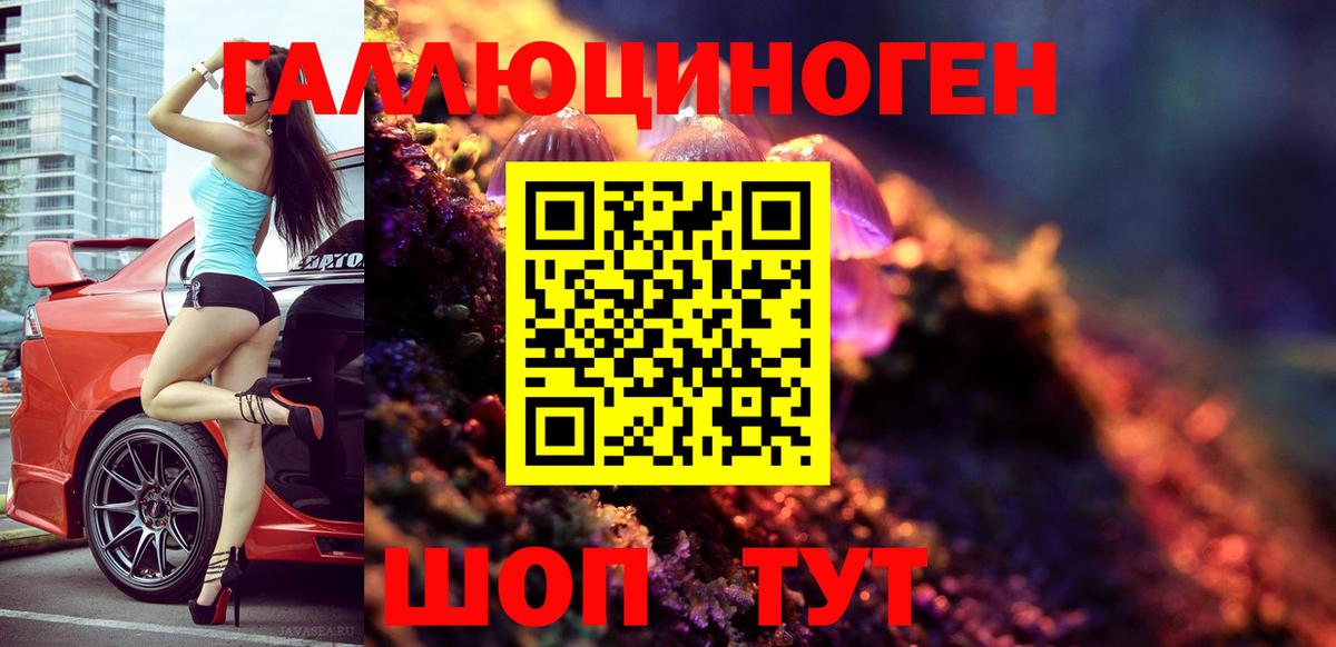 Новошахтинск  Псилоцибиновые грибы ЛСД  Вход с VPN 