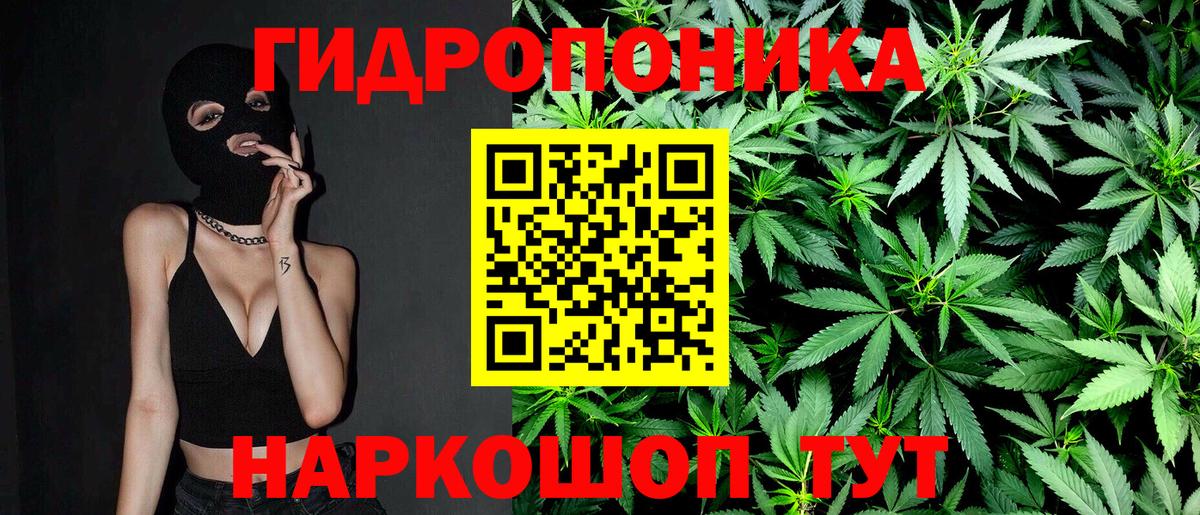 Шишки марихуана индика Новошахтинск